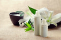 Botanical Discovery Set