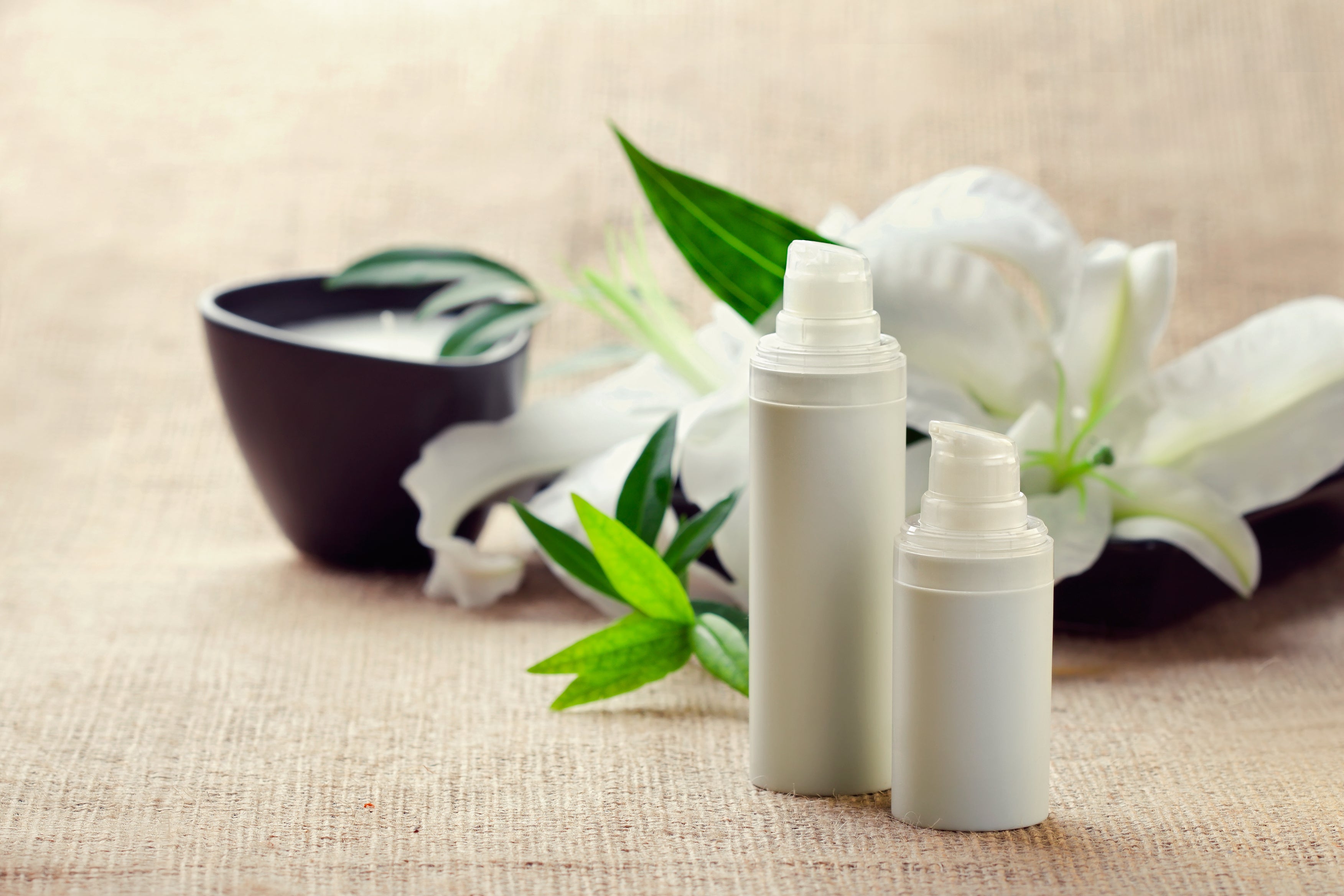 Botanical Discovery Set