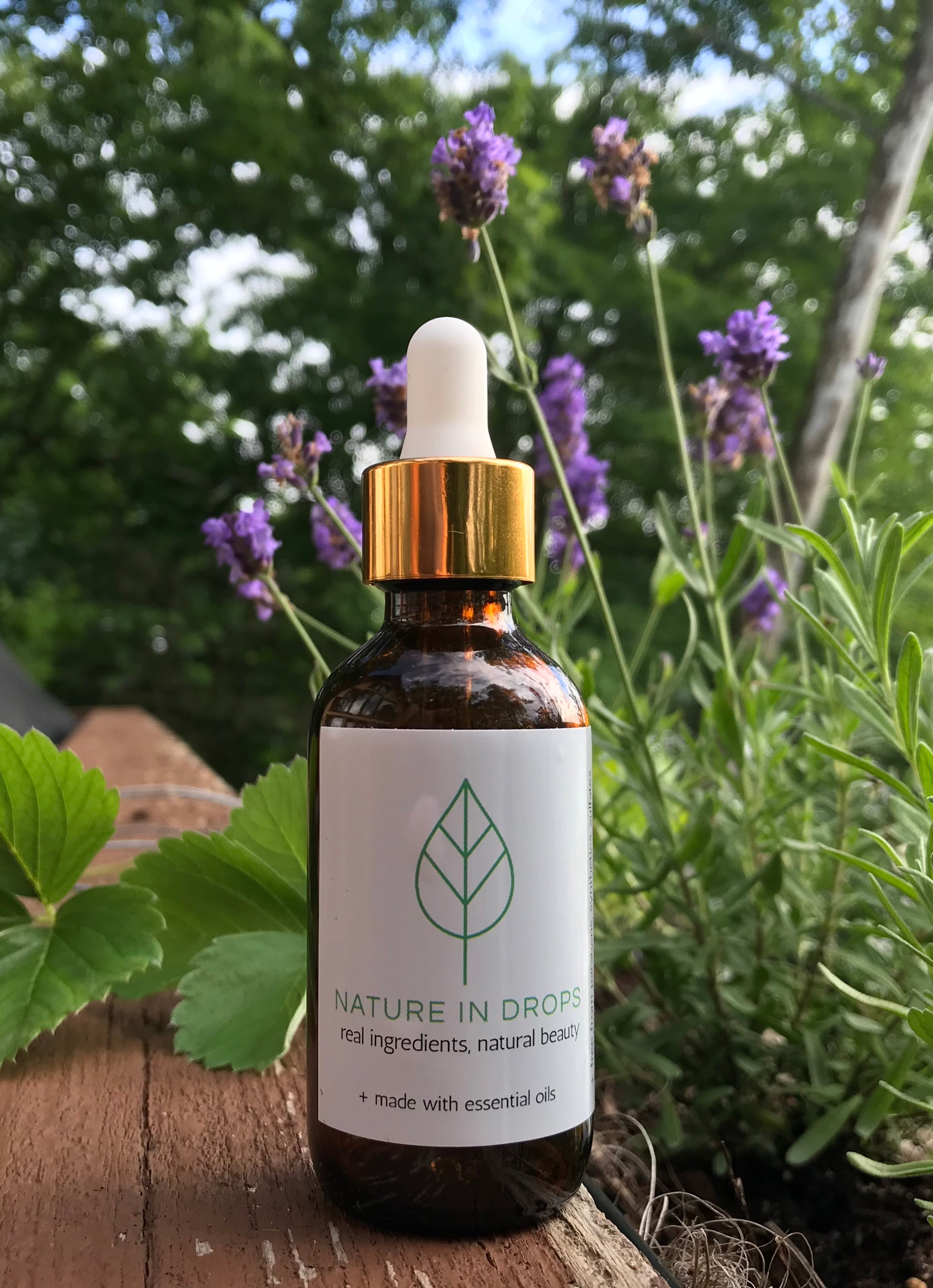 Essential Facial Oil Serum - 1 Fl oz / 29 ml